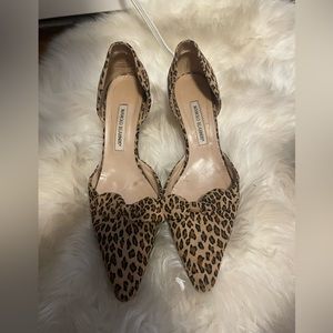Leopard Manolo Blahnik kitten heels